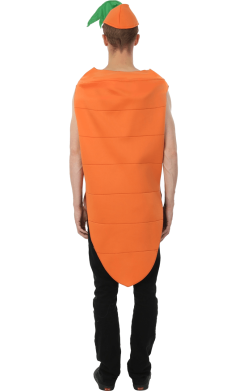 Carrot Costume -Simply Fancy Dress Shop 00015261a04