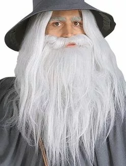 Adult Gandalf Beard & Wig Set