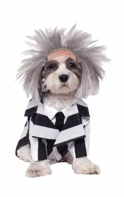 Beetlejuice Dog Costume