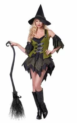 Bewitching Babe Costume