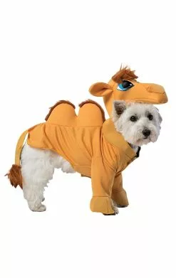 Camel Dog