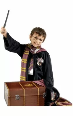 Child Harry Potter Costume & Trunk Set