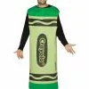 Crayola Crayons-Green -Simply Fancy Dress Shop crayola crayons green 623801