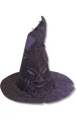 Harry Potter Sorting Hat