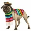 Mexican Dog Costume 1 Mexican Dog Costume -Simply Fancy Dress Shop mexican dog costume 352970