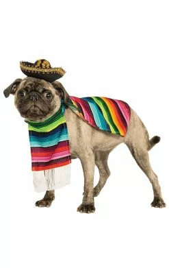 Mexican Dog Costume