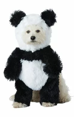 Panda Pooch