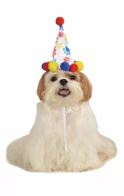 Paw Print Birthday Hat