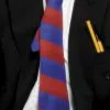 Smiffys Red And Blue School Tie Accessory -Simply Fancy Dress Shop red and blue school tie accessory 272619