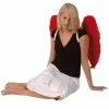 Boland Red Feather Wings 65x65cm -Simply Fancy Dress Shop red feather wings 65x65cm 690971
