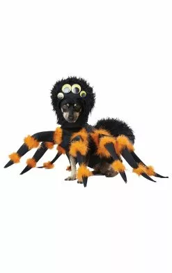 Spider Dog Costume