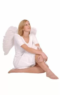 Boland White Feather Wings 65x65cm